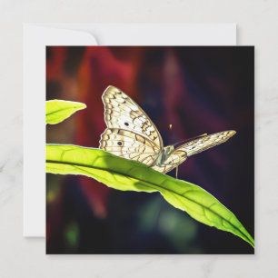 Schmetterling Danke Karte