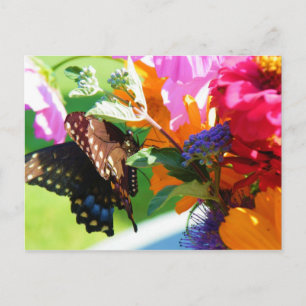 Schmetterling - Denken Sie an Ihre Postkarte