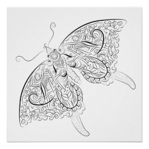 Schmetterling, der erwachsenes Farbtonplakat Poster