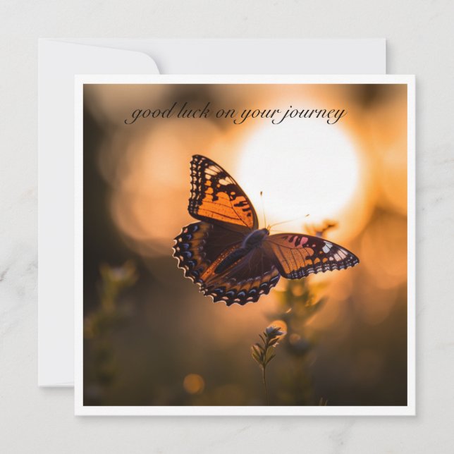 Schmetterling, der in den Sonnenuntergang fliegt,  (Vorderseite)