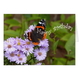 Schmetterling des roten Admirals
