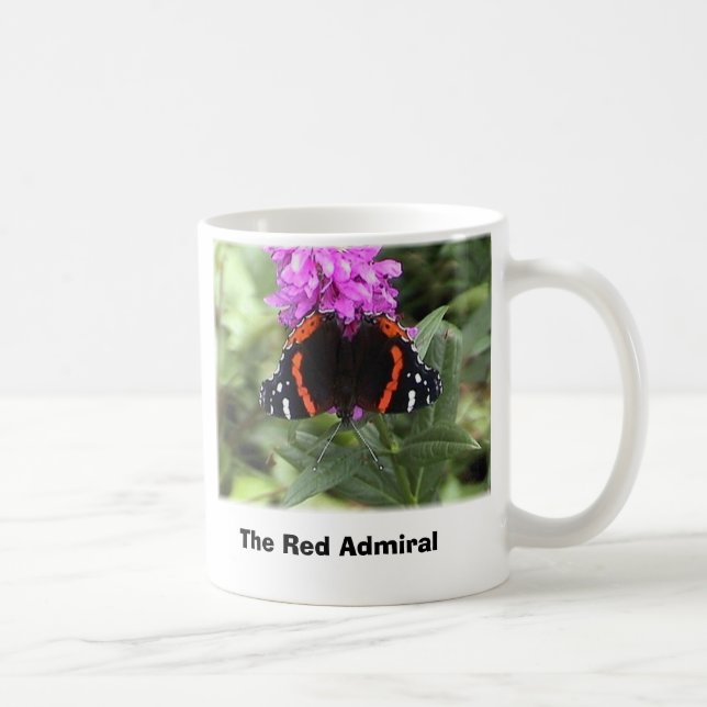 Schmetterling des roten Admirals, der rote Admiral Kaffeetasse (Rechts)