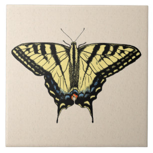 Schmetterling des Südwestens Gelber Schwalbenschwa Fliese