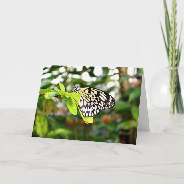 Schmetterling Feiertagskarte (Vorderseite)