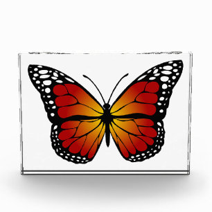 Schmetterling Fotoblock