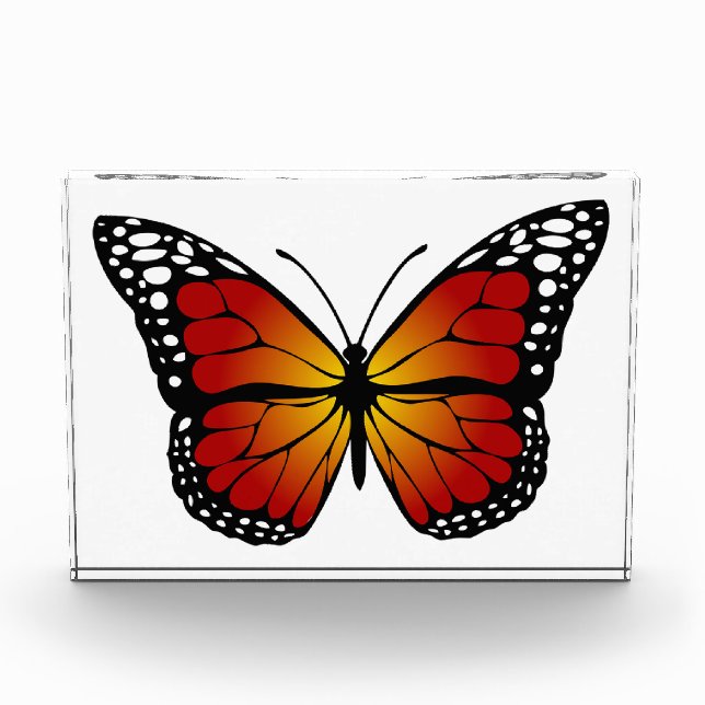 Schmetterling Fotoblock (Vorderseite)