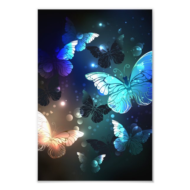 Schmetterling Fotodruck (Vorne)