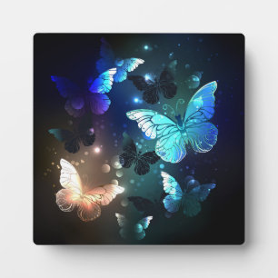 Schmetterling Fotoplatte