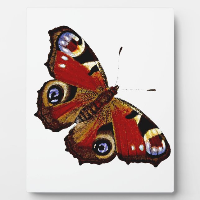 Schmetterling Fotoplatte (Vorderseite)