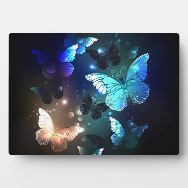 Schmetterling Fotoplatte (Vorderseite)