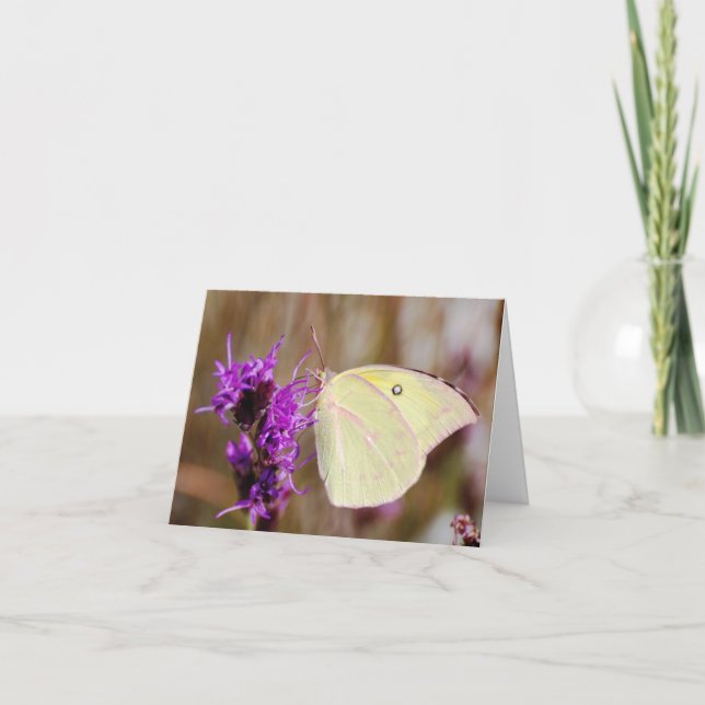 Schmetterling für Abschluss und Inspiration Karte (Vorderseite)