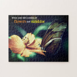 Schmetterling füttre auf Blume
