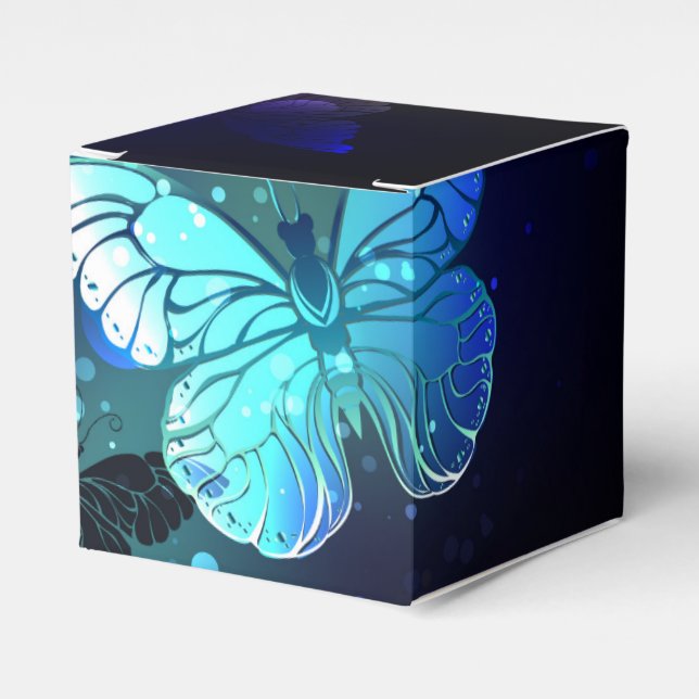 Schmetterling Geschenkschachtel (Vorderseite)