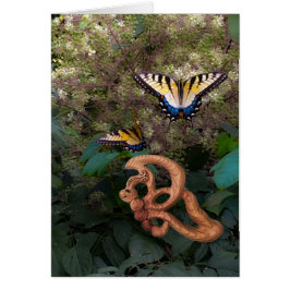 Schmetterling-Glück in der Umwandlung