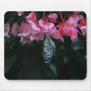 Schmetterling hängt an Blumen Mousepad