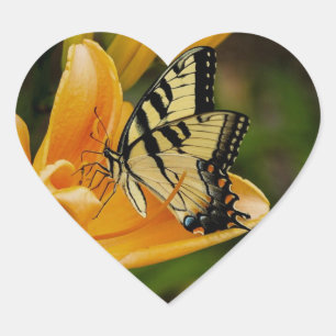 Schmetterling Herz-Aufkleber