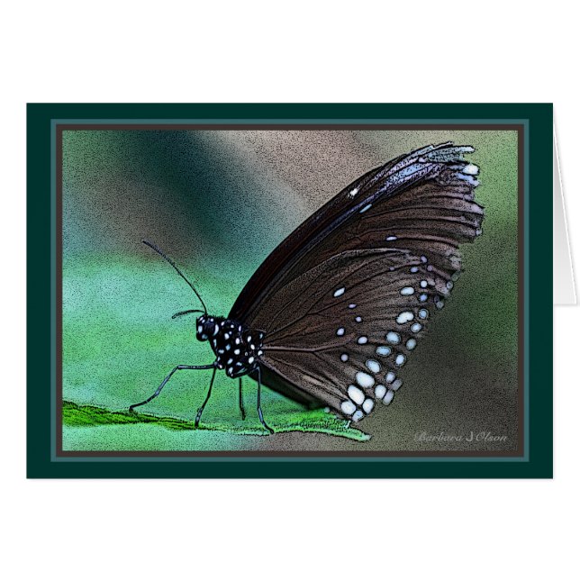 Schmetterling im Aqua (Vorderseite (Horizontal))