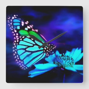 Schmetterling im blauen Licht Quadratische Wanduhr