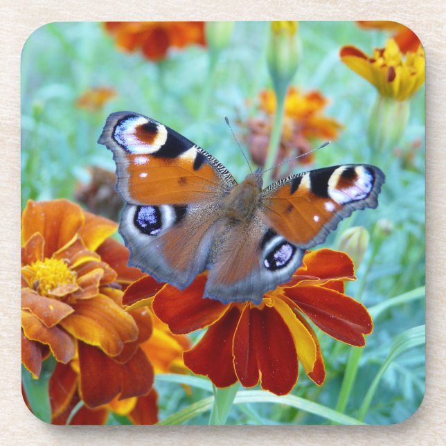 Schmetterling im farbigen Garten Untersetzer (Vorderseite)