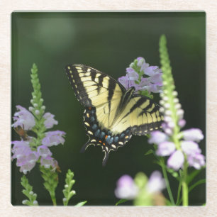 Schmetterling im Garten Glasuntersetzer