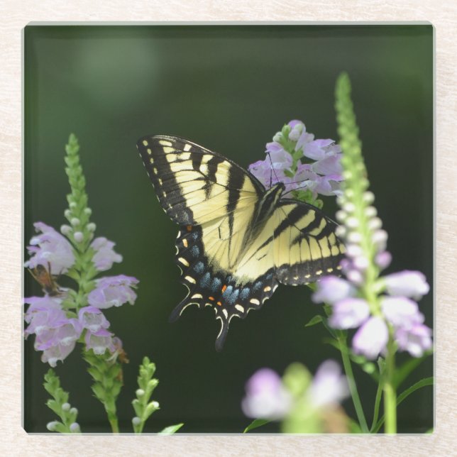 Schmetterling im Garten Glasuntersetzer (Vorderseite)