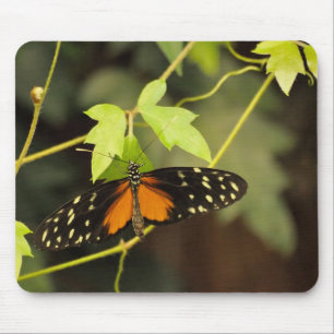 Schmetterling im Garten Mousepad