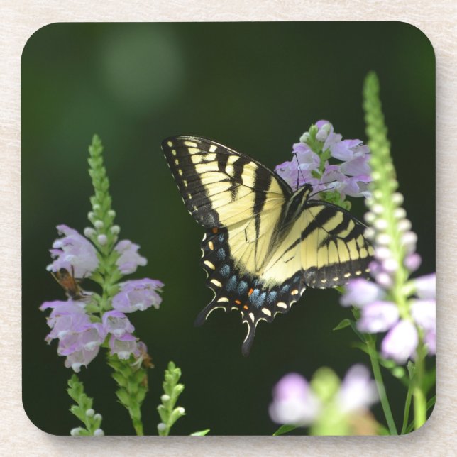 Schmetterling im Garten Untersetzer (Vorderseite)