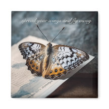 Schmetterling im offenen Buch