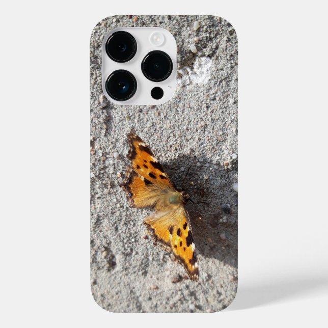 Schmetterling im Sonnenschein Case-Mate iPhone 14 Pro Hülle (Rückseite)