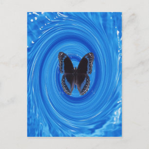 Schmetterling im Whirlpool, Postkarte