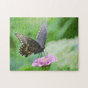 Schmetterling im Zinnia Puzzle