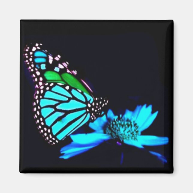Schmetterling in blauem Licht Magnet (Vorne)