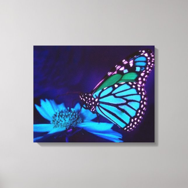 Schmetterling in Blue Light Canvas Print Leinwanddruck (Vorderseite)