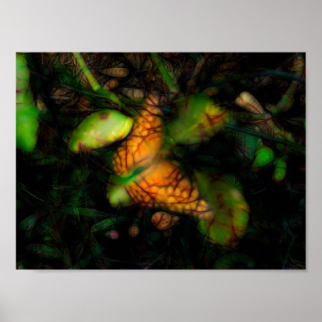 Schmetterling in den Radien und glühenden Kanten Poster (Vorne)