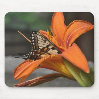 Schmetterling in Lilie mousepad