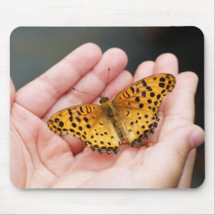 Schmetterling, Insekt, Hand Mousepad
