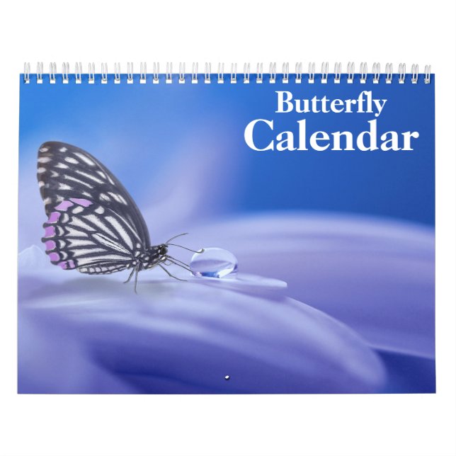 Schmetterling Kalender (Titelbild)