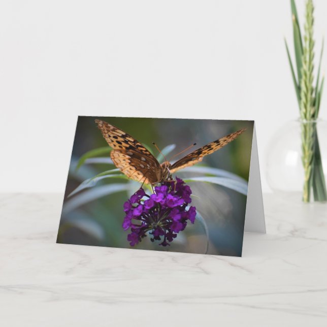 Schmetterling, Karte (Vorderseite)