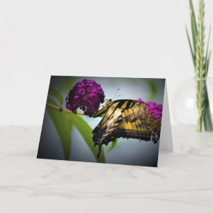 Schmetterling, Karte