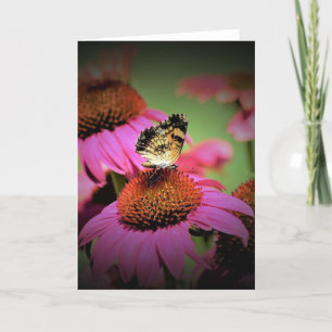 Schmetterling, Karte