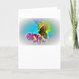 Schmetterling, Karte