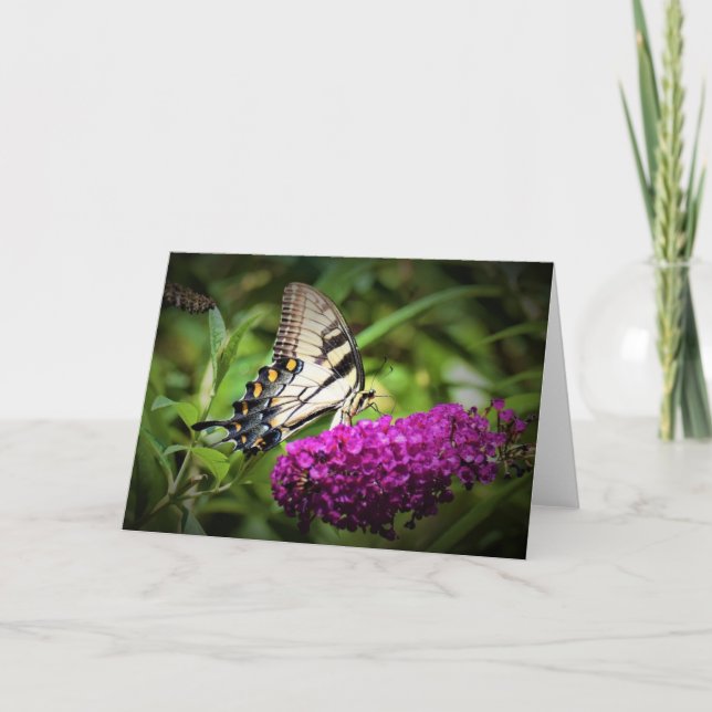 Schmetterling, Karte (Vorderseite)