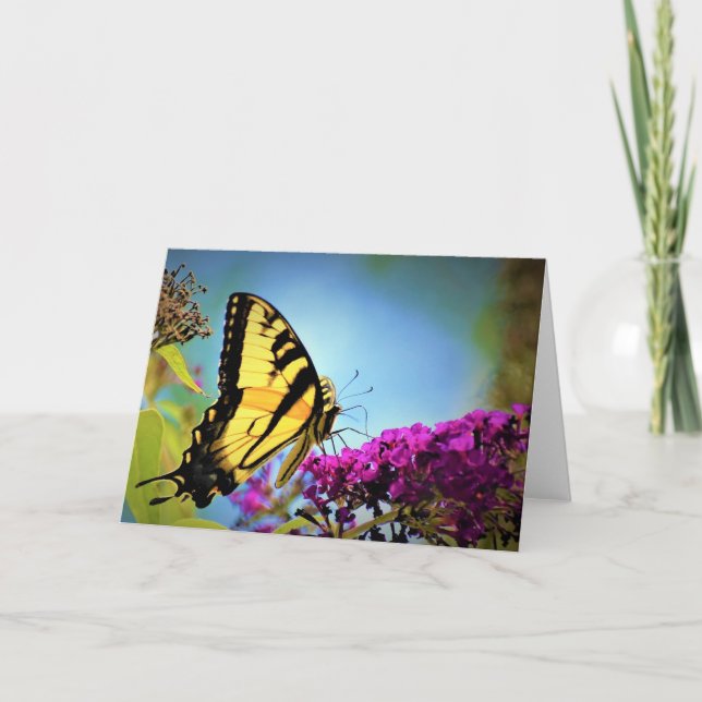 Schmetterling, Karte (Vorderseite)
