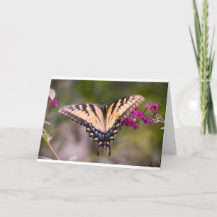 Schmetterling, Karte