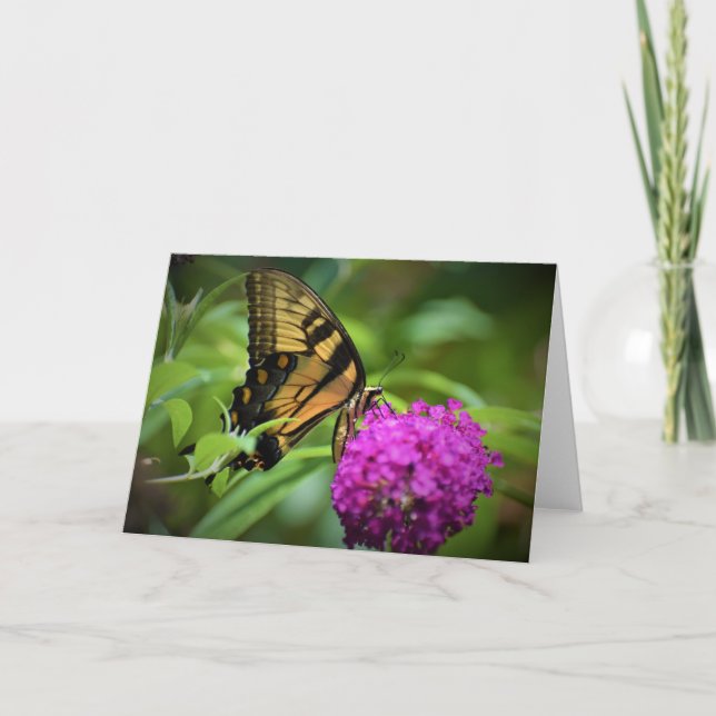 Schmetterling, Karte (Vorderseite)
