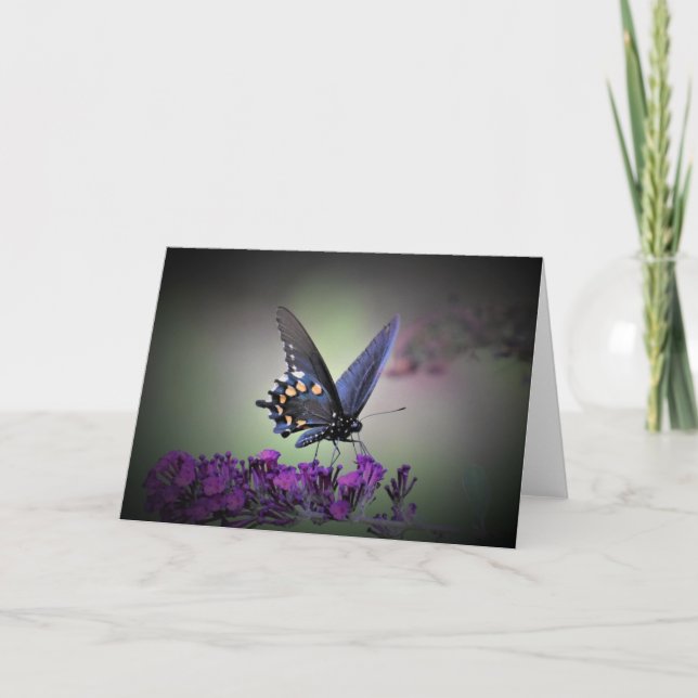 Schmetterling, Karte (Vorderseite)