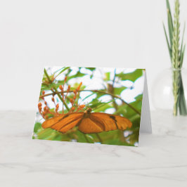 Schmetterling Karte