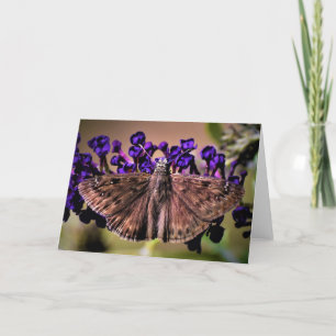 Schmetterling, Karte