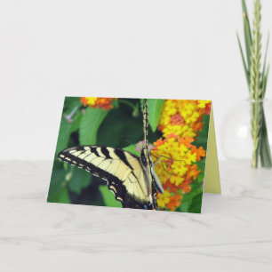 Schmetterling Karte