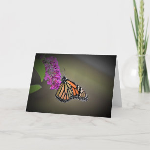 Schmetterling, Karte